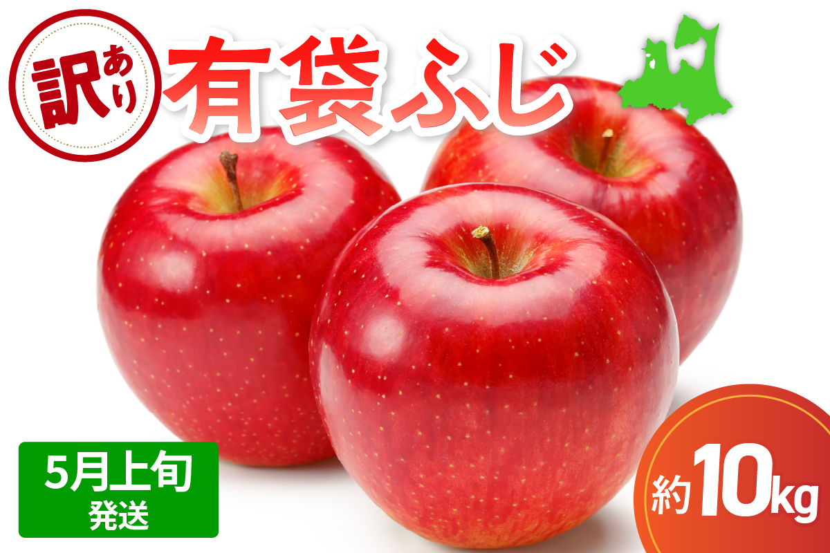 【2026年5月上旬発送】【訳あり】りんご10kg有袋ふじ【スマートフレッシュTM貯蔵またはCA貯蔵・クール便】