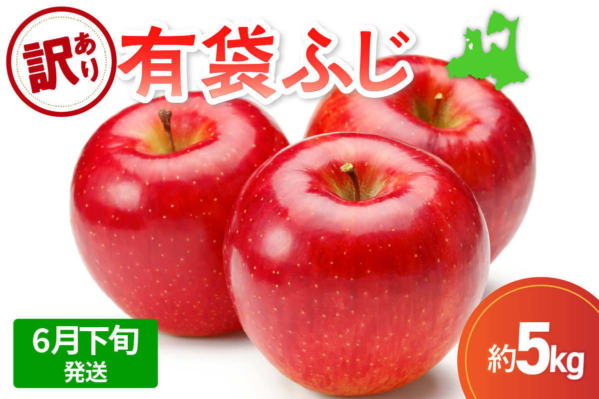 【2026年6月下旬発送】【訳あり】りんご有袋ふじ5kg(スマートフレッシュTM貯蔵又はCA貯蔵・クール便)