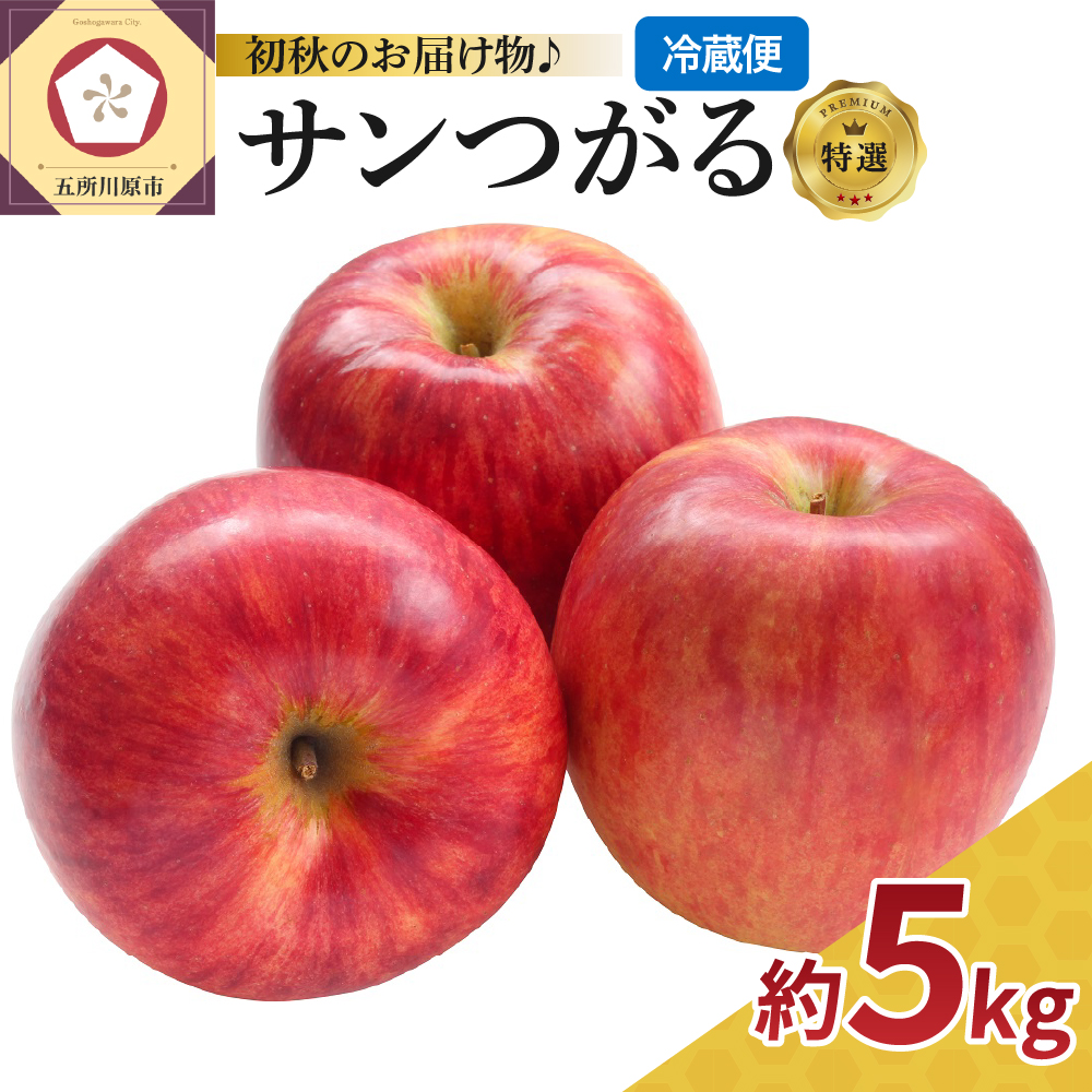 りんご 9月 5kg サンつがる 特選 青森 クール便【2025年】