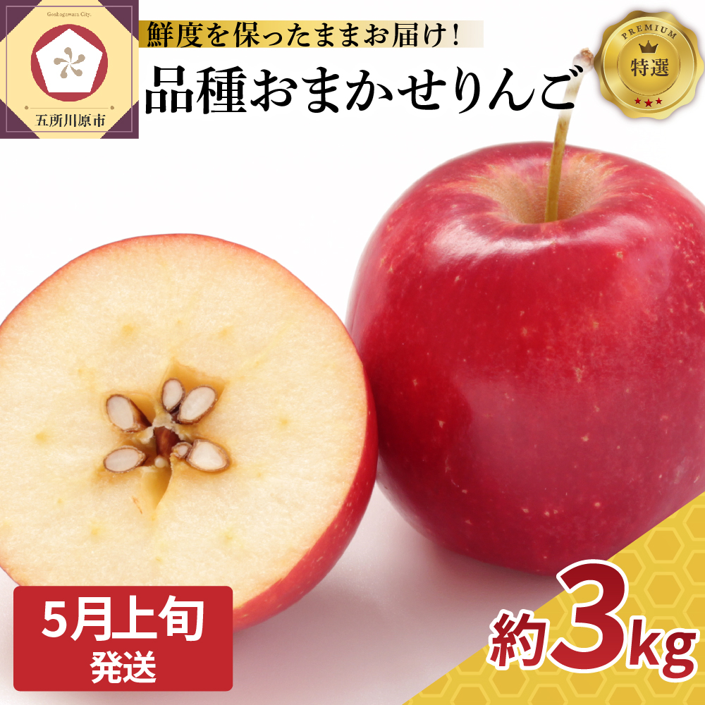 【2026年5月上旬発送】 特撰 りんご 約3kg 品種おまかせ （ ふじ 又は サンふじ ） 【発送時期が選べる】 丸かじりサイズ 青森県産 【 スマートフレッシュ 貯蔵 または CA貯蔵 】 特選