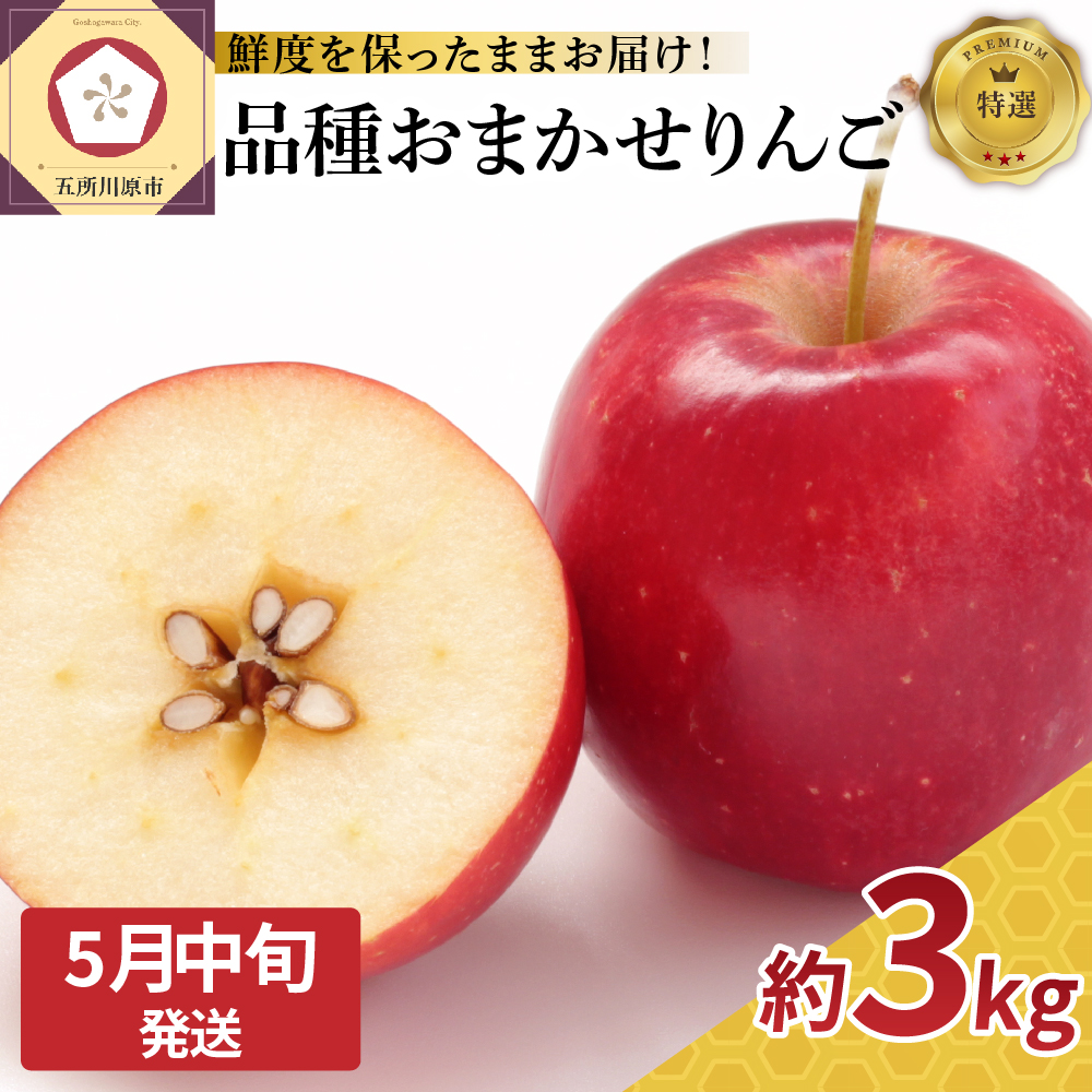 【2026年5月中旬発送】 特撰 りんご 約3kg 品種おまかせ （ ふじ 又は サンふじ ） 【発送時期が選べる】 丸かじりサイズ 青森県産 【 スマートフレッシュ 貯蔵 または CA貯蔵 】 特選