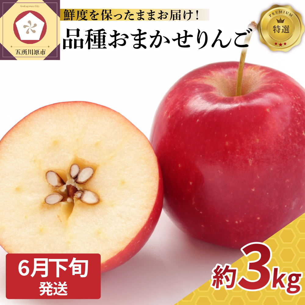 【2026年6月下旬発送】 特撰 りんご 約3kg 品種おまかせ （ ふじ 又は サンふじ ） 【発送時期が選べる】 丸かじりサイズ 青森県産 【 スマートフレッシュ 貯蔵 または CA貯蔵 】 特選