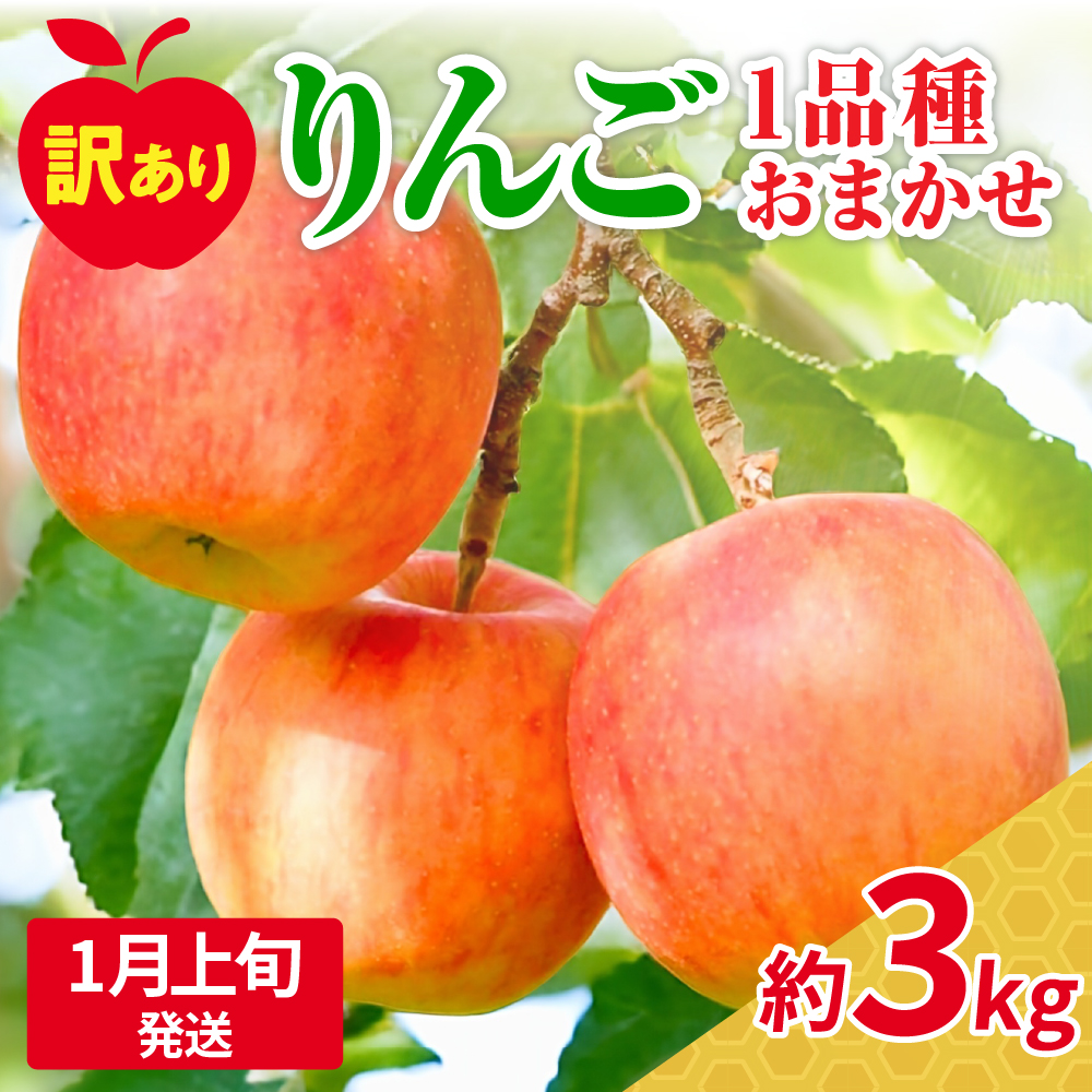 【2026年1月上旬発送】訳ありりんご約3kg（7～12個程度）|おまかせ品種|青森県五所川原市