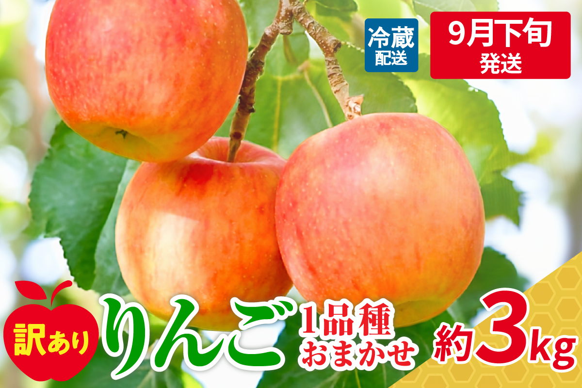 【2025年9月下旬発送】訳ありりんご約3kg（7～12個程度）|おまかせ品種|青森県五所川原市