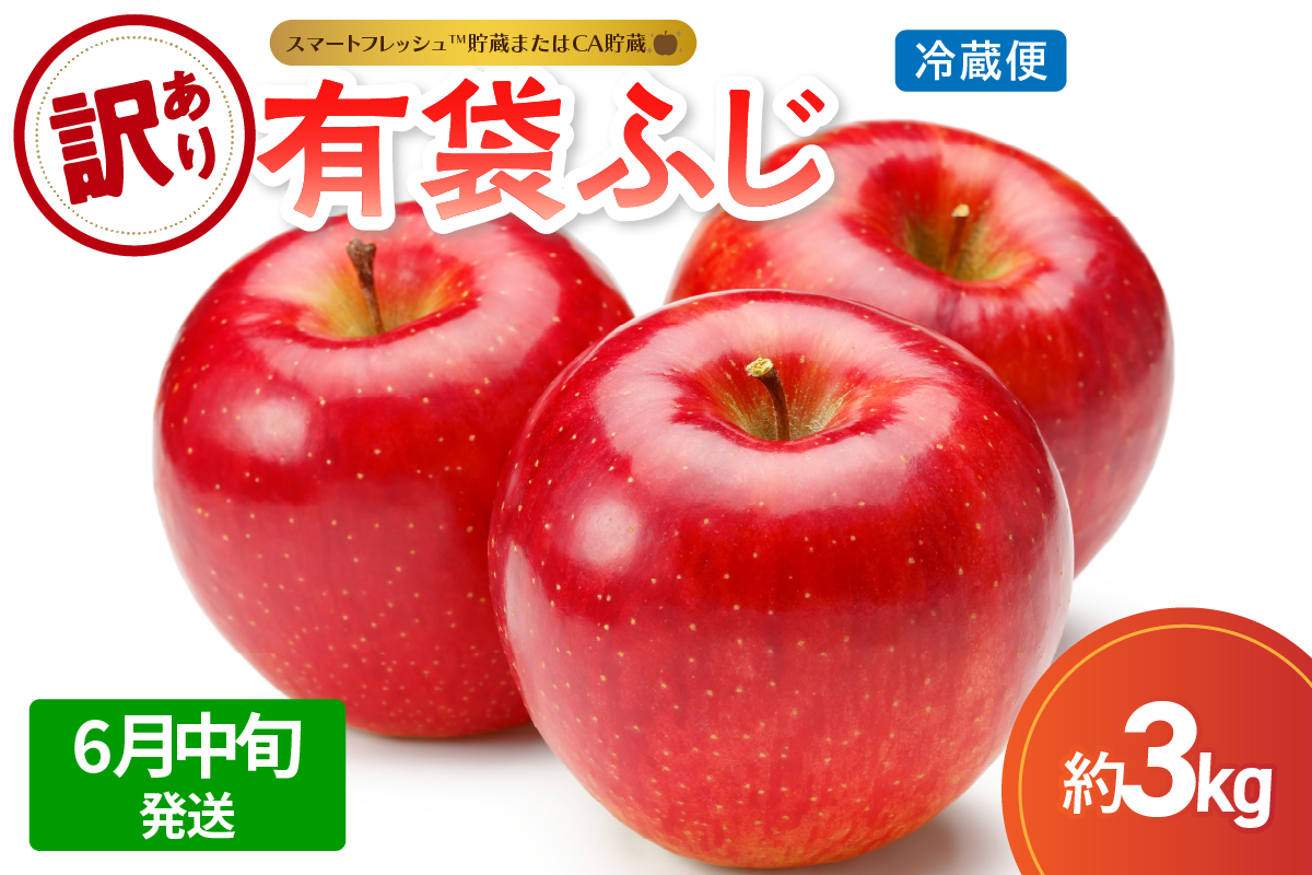 【2026年6月中旬発送】【訳あり】りんご有袋ふじ3kg(スマートフレッシュTM貯蔵又はCA貯蔵・クール便)