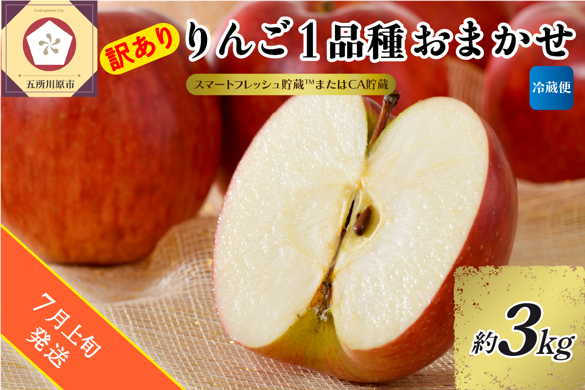 【2026年7月上旬発送】【訳あり】りんご 約3kg 青森産 【おまかせ1品種】【スマートフレッシュ貯蔵またはCA貯蔵・クール便】