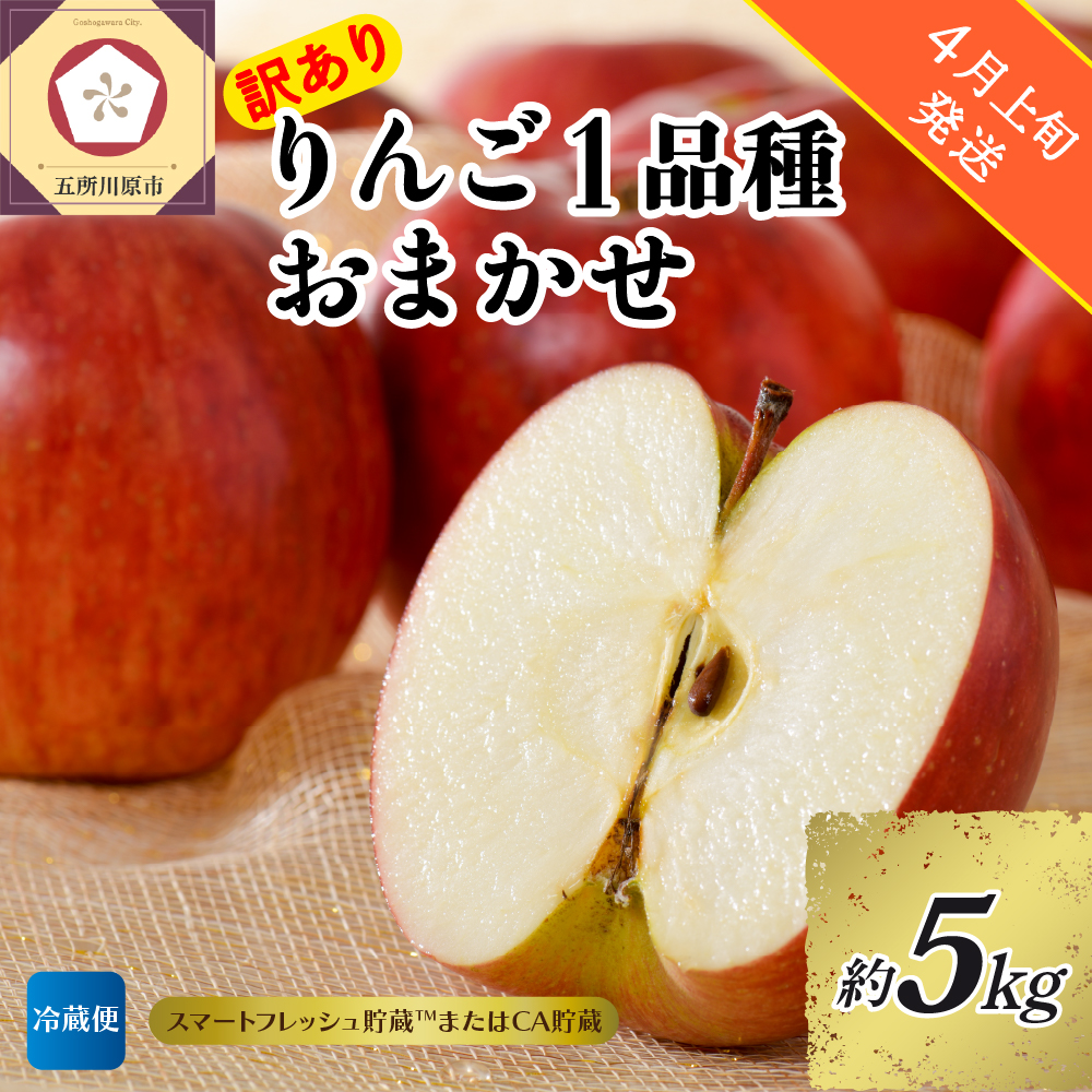 【2026年4月上旬発送】【訳あり】りんご 約5kg 青森産 【おまかせ1品種】【スマートフレッシュ貯蔵またはCA貯蔵・クール便】