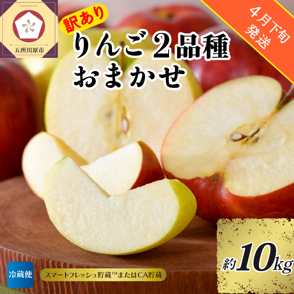 【2026年4月下旬発送】【訳あり】りんご 約10kg 青森産 【おまかせ2品種】【スマートフレッシュ貯蔵またはCA貯蔵・クール便】
