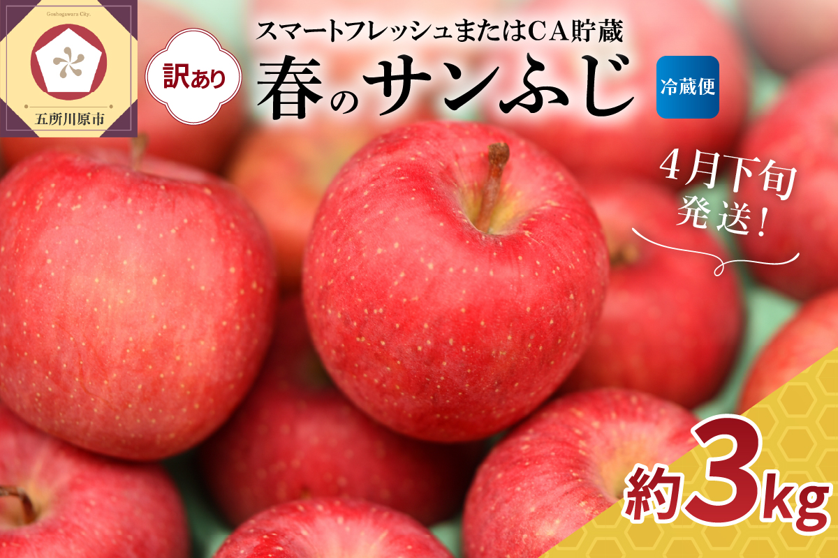 【2026年4月下旬発送】りんご 春の サンふじ 訳あり 約3kg スマートフレッシュTM貯蔵またはCA貯蔵