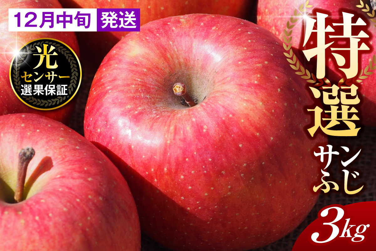 【2025年12月中旬発送】【特選】りんご 約3kg サンふじ 青森 五所川原