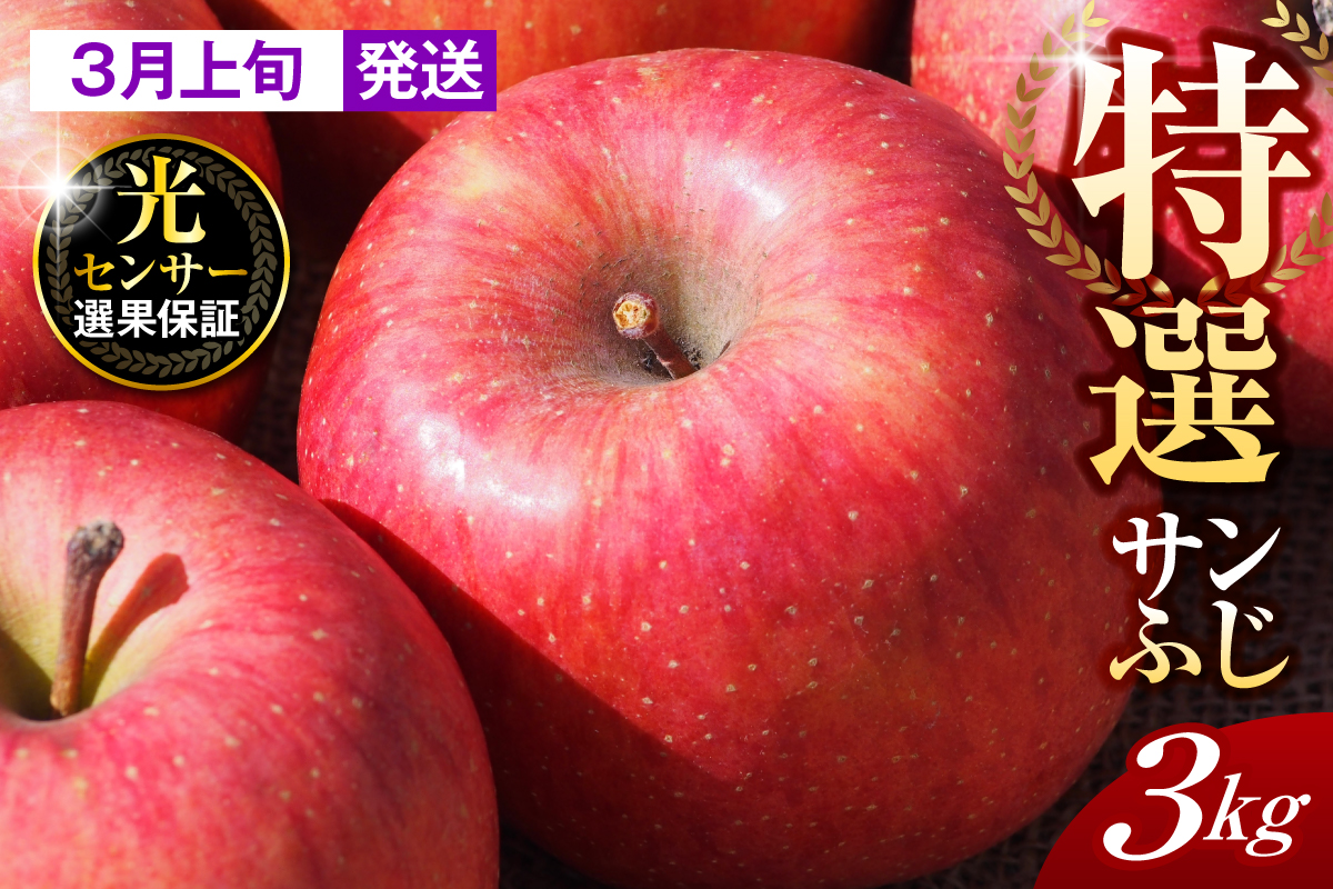 【2026年3月上旬発送】【特選】りんご 約3kg サンふじ 青森 五所川原