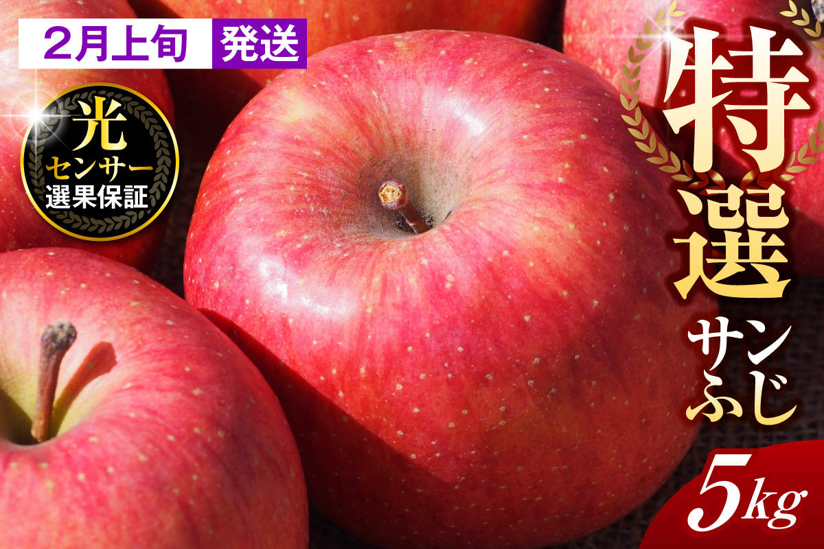 【2026年2月上旬発送】【特選】りんご 約5kg サンふじ 青森 五所川原