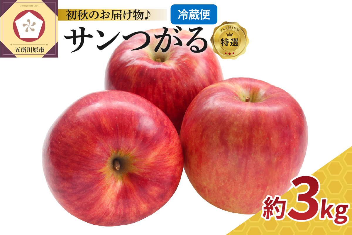 りんご 9月 3kg サンつがる 特選 青森 クール便【2025年】