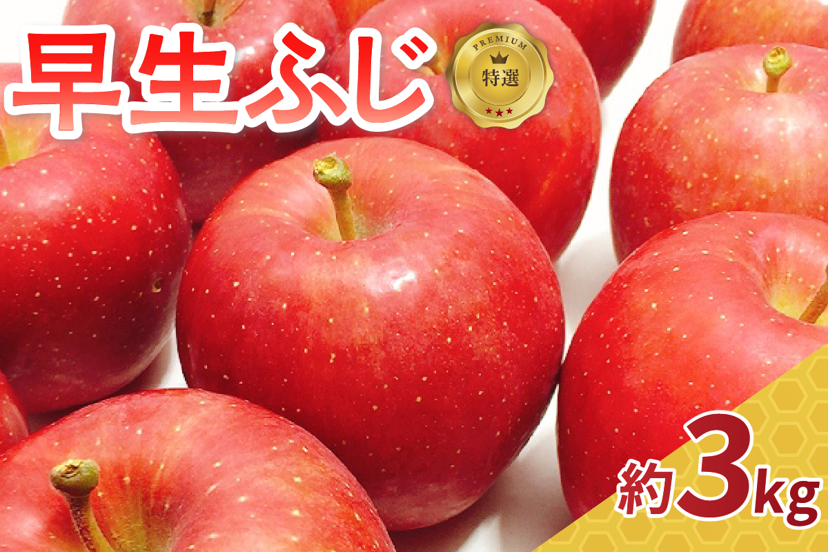 【2025年10月発送】 早生 ふじ 【特選】 約 3kg りんご 青森 産