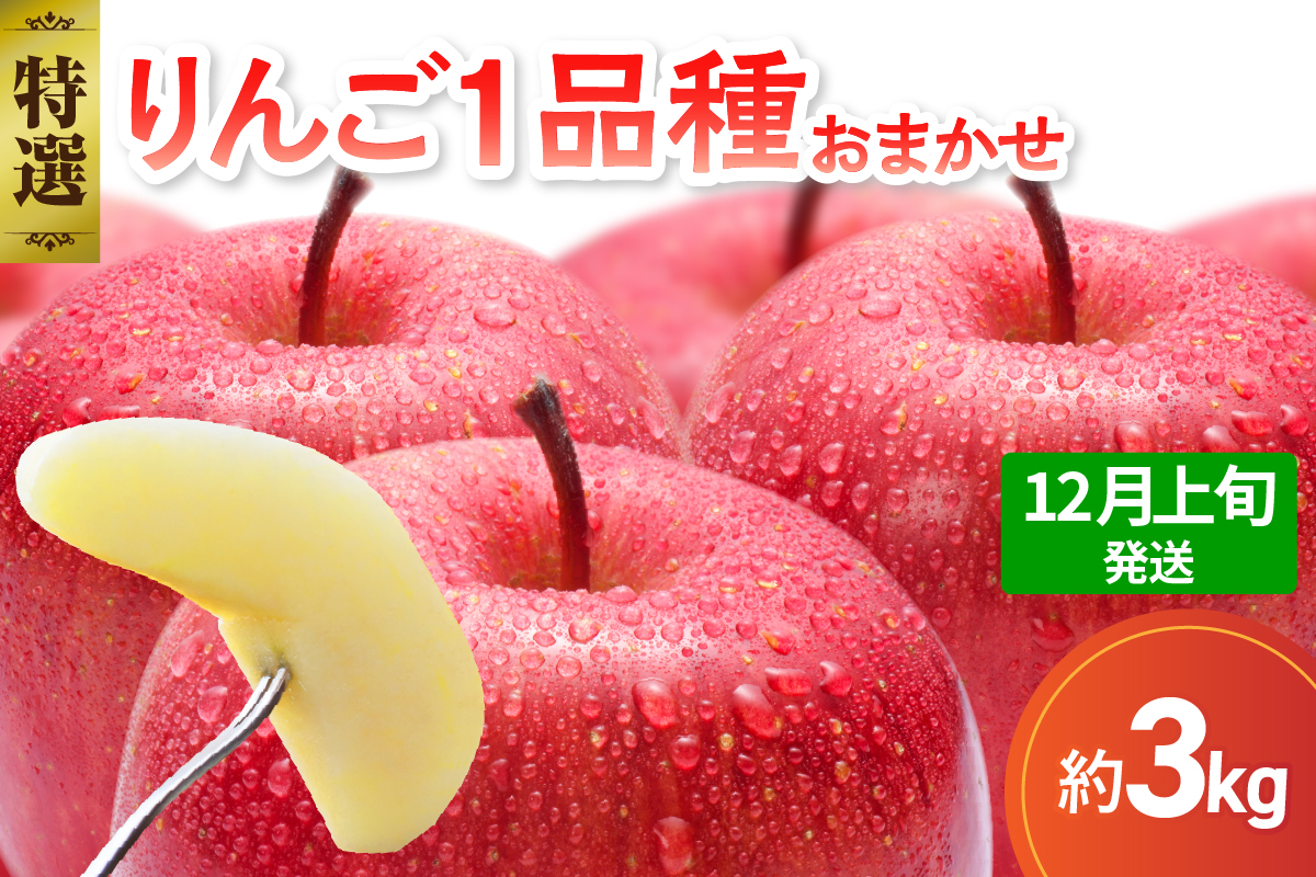 【2025年12月上旬発送】 【特選】 旬の美味しい りんご 約3kg 青森産 【おまかせ1品種】