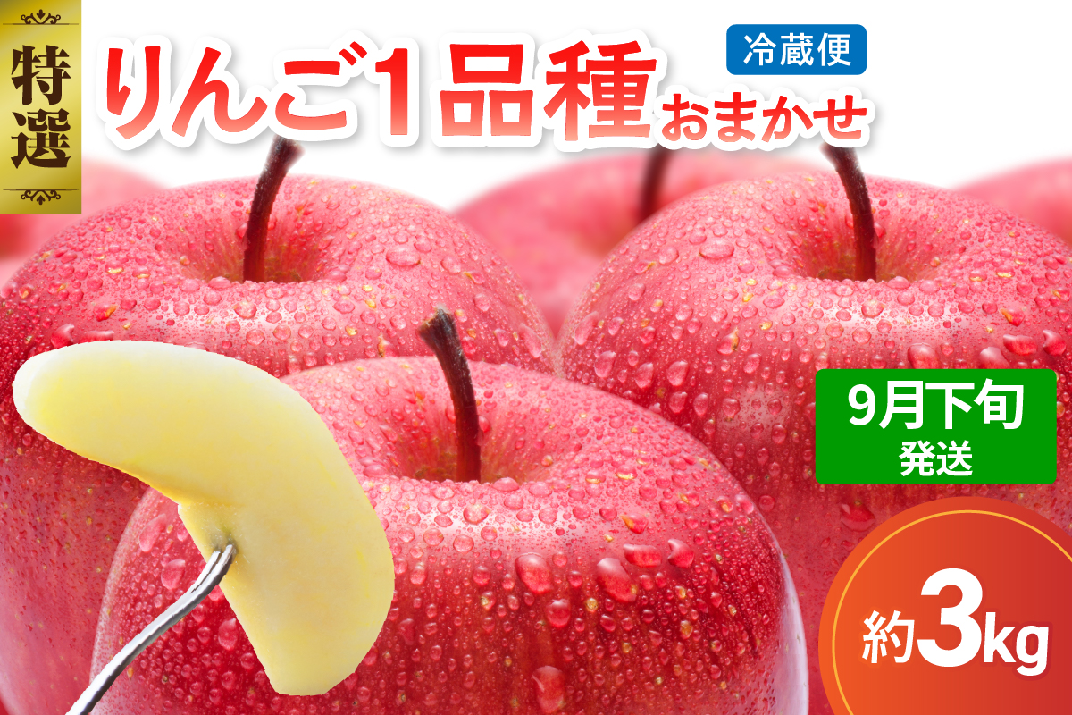 【2025年9月下旬発送】 【特選】 旬の美味しい りんご 約3kg 青森産 【おまかせ1品種】