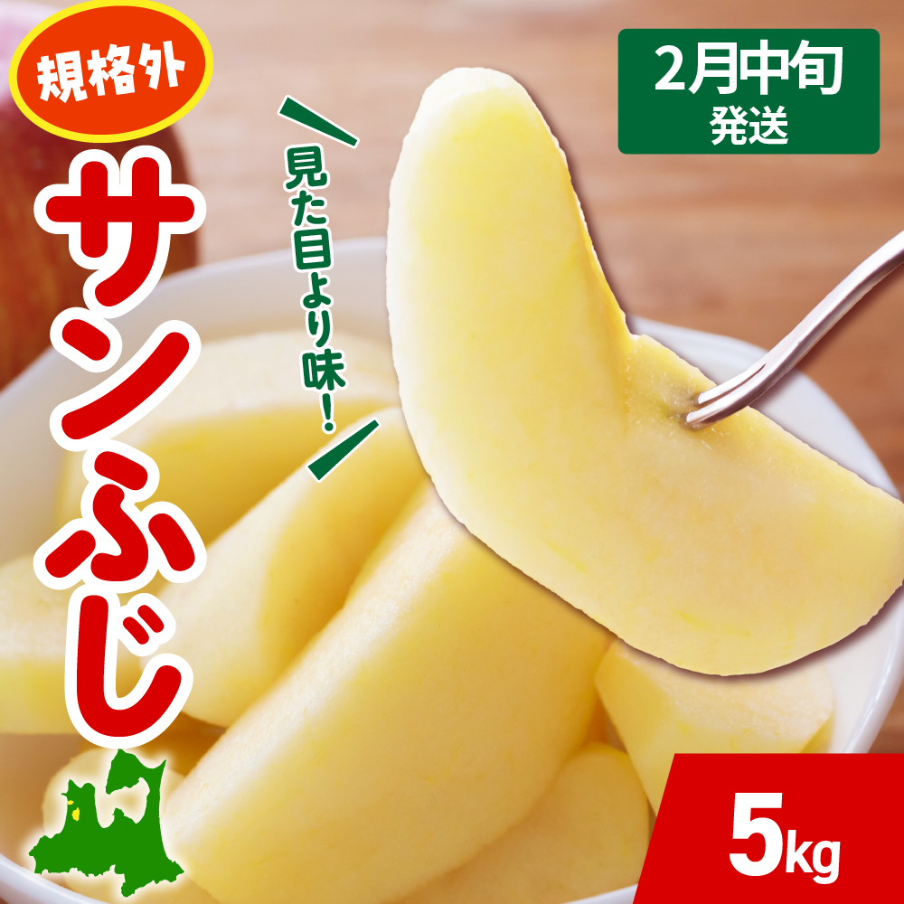 【2026年2月中旬発送】 りんご サンふじ 約 5kg 規格外 程度 青森 五所川原 不揃い サン ふじ りんご規格外