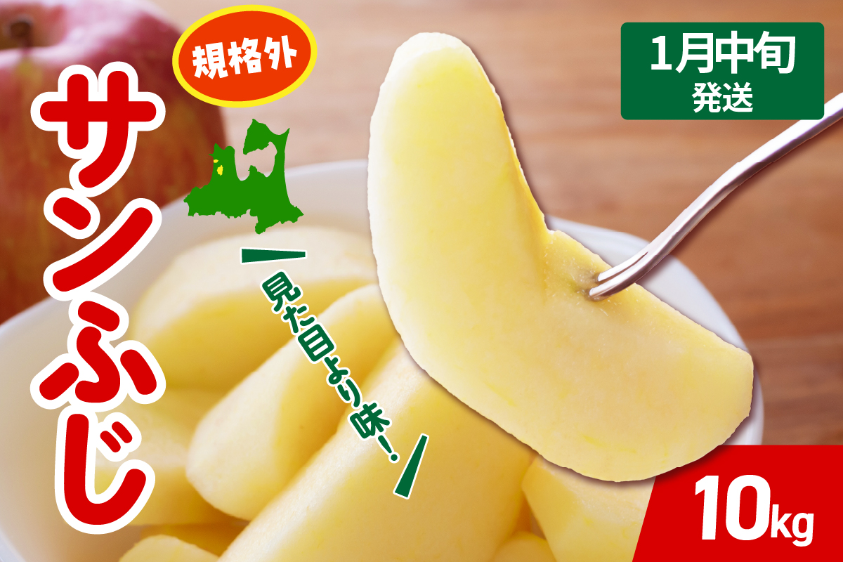 【2026年1月中旬発送】 りんご サンふじ 約 10kg 規格外 程度 青森 五所川原 不揃い サン ふじ りんご規格外