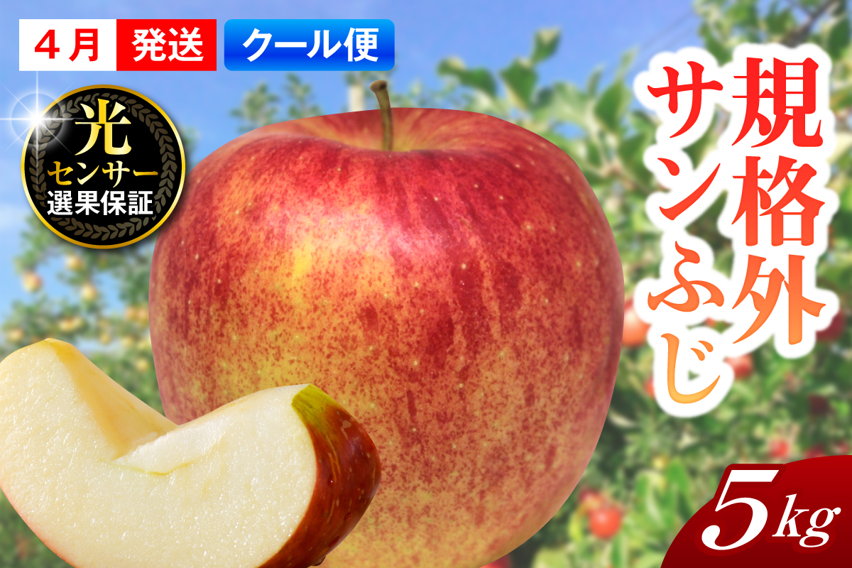 【2026年4月上旬発送】【規格外】 りんご サンふじ 約5kg スマートフレッシュ™貯蔵 または CA貯蔵 【クール便】