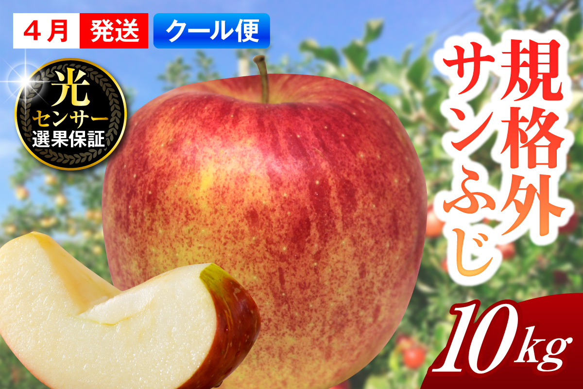 【2026年4月上旬発送】【規格外】 りんご サンふじ 約10kg スマートフレッシュ™貯蔵 または CA貯蔵 【クール便】