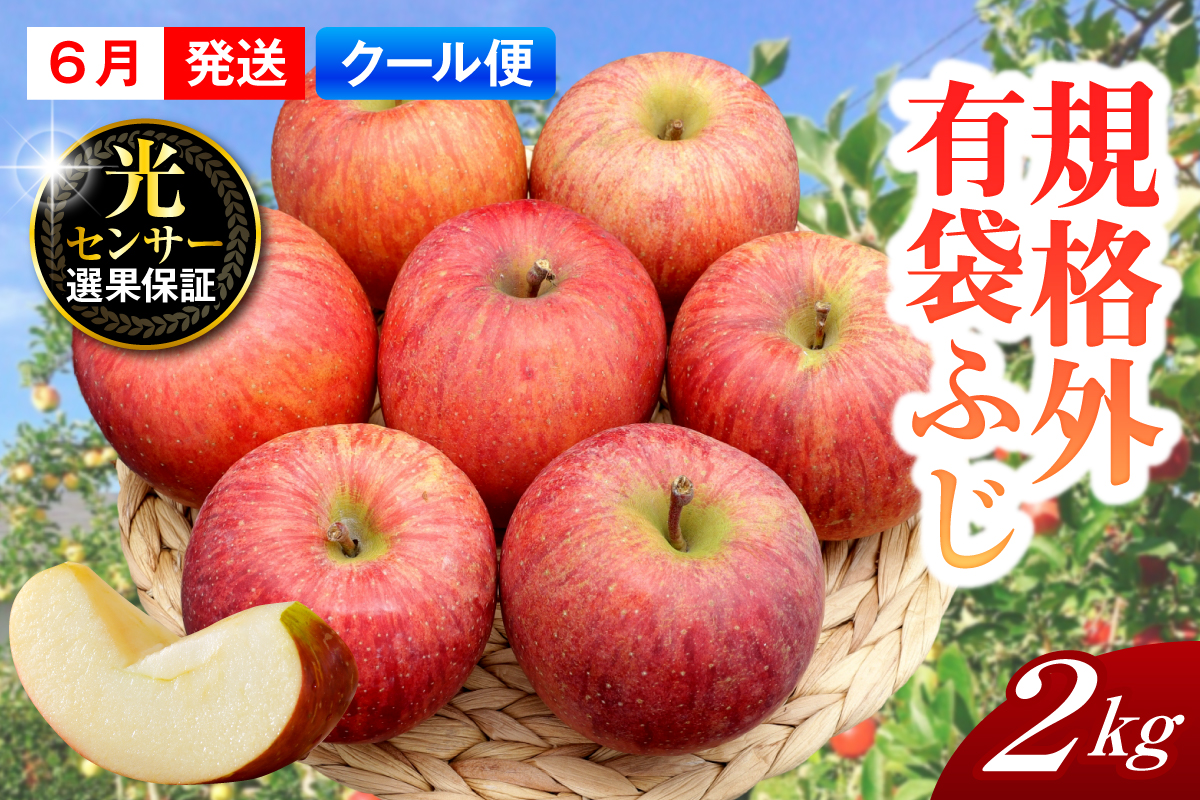 【2026年6月上旬発送】【規格外】 りんご 有袋ふじ 約2kg スマートフレッシュ™貯蔵 または CA貯蔵 【クール便】