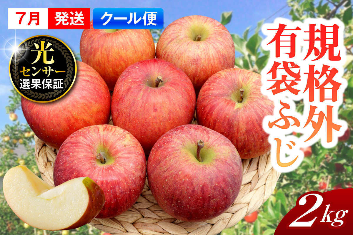 【2026年7月上旬発送】【規格外】 りんご 有袋ふじ 約2kg スマートフレッシュ™貯蔵 または CA貯蔵 【クール便】