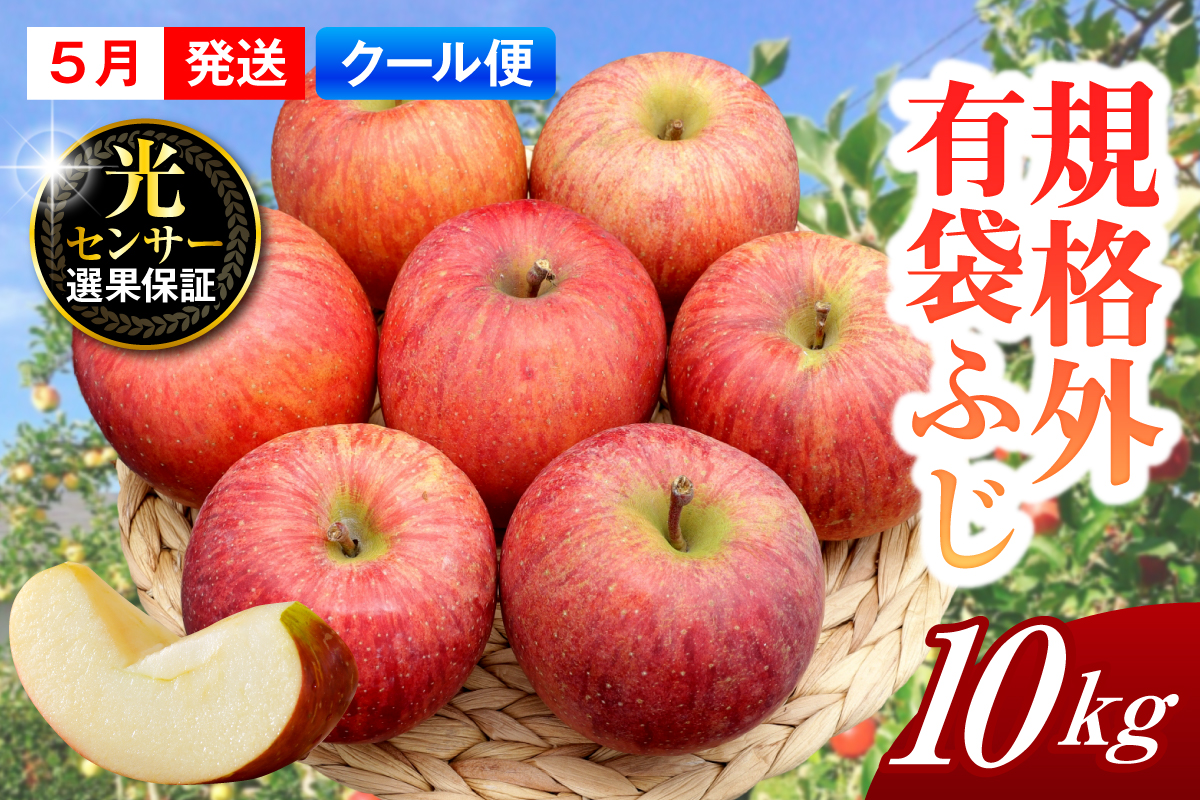 【2026年5月上旬発送】【規格外】 りんご 有袋ふじ 約10kg スマートフレッシュ™貯蔵 または CA貯蔵 【クール便】
