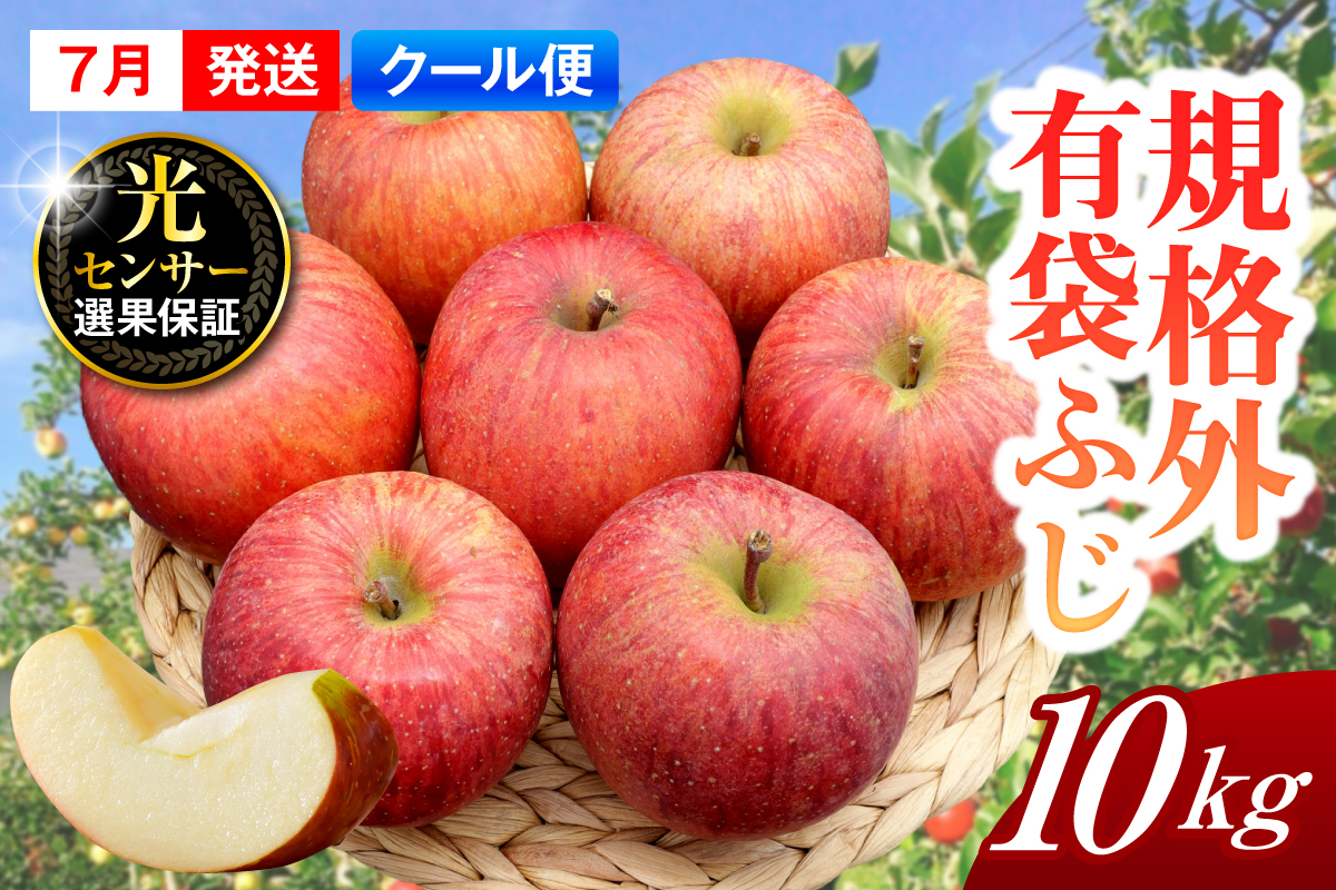 【2026年7月上旬発送】【規格外】 りんご 有袋ふじ 約10kg スマートフレッシュ™貯蔵 または CA貯蔵 【クール便】