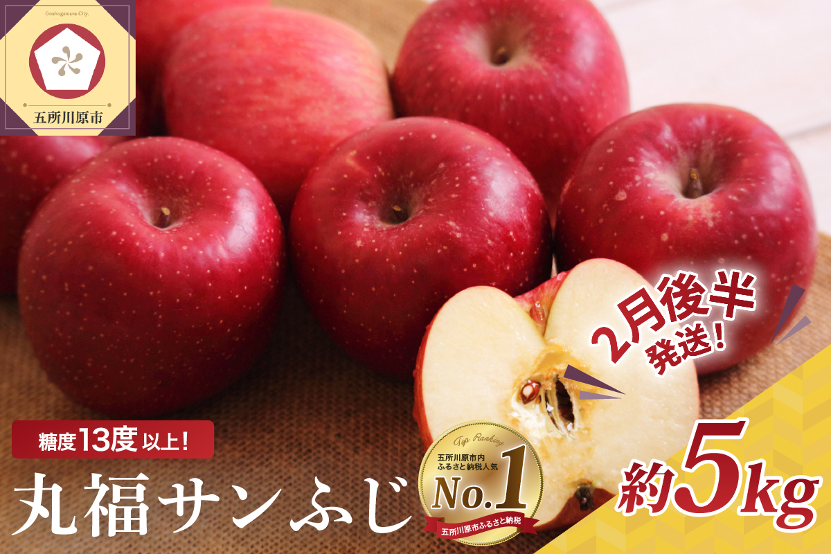 【2026年2月後半発送】 りんご 青森産 約5kg 丸福 サンふじ 光センサー 選果 糖度 13度以上