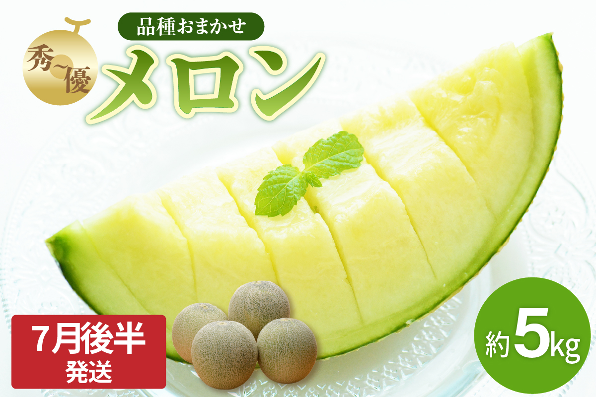 【2026年先行予約】【2026年7月後半発送】メロン 約 5kg 秀～優 7月 8月 ( 青肉 3～6玉 ）【 津軽産 青森 緑肉 】