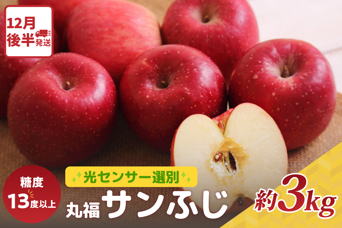 【2025年12月後半発送】 りんご 青森産 約3kg 丸福 サンふじ 光センサー 選果 糖度 13度以上