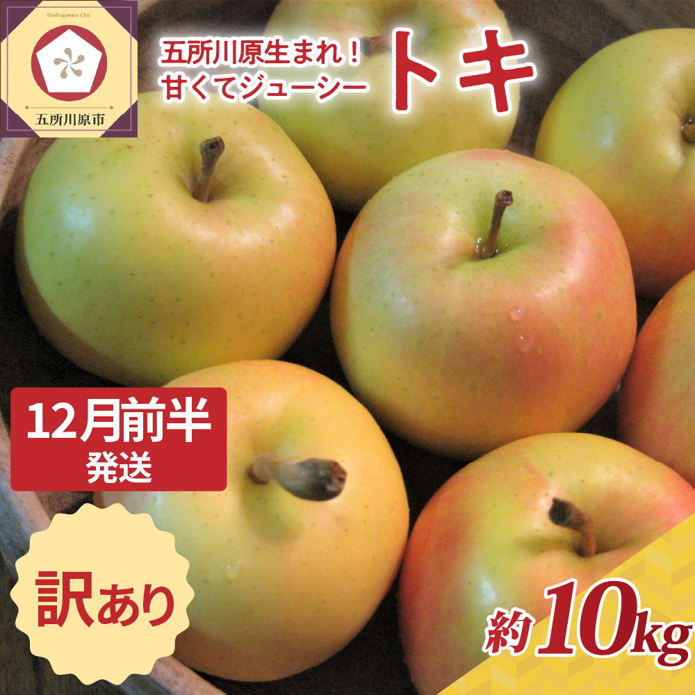 【2025年12月前半発送】訳あり トキ 約10kg