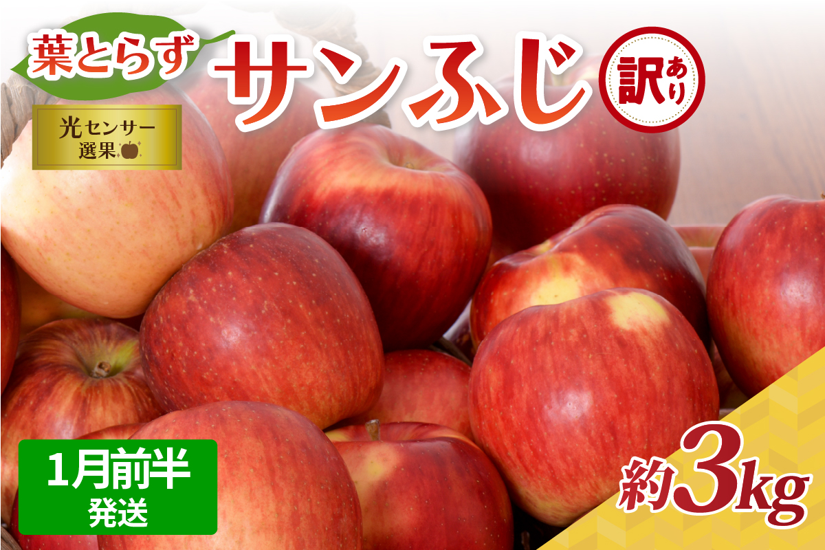 【2026年1月前半発送】【訳あり】青森県産葉とらずサンふじりんご約3kg