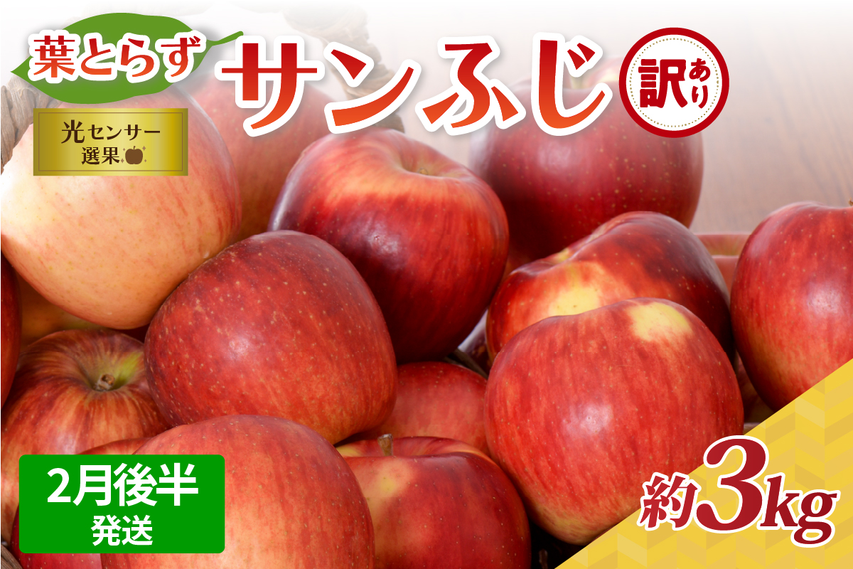 【2026年2月後半発送】【訳あり】青森県産葉とらずサンふじりんご約3kg