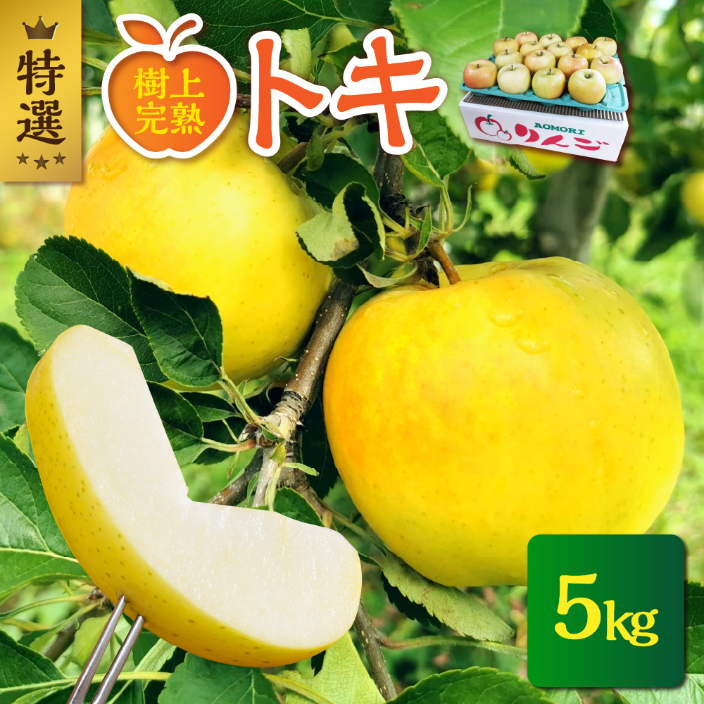 【2025年10月発送】【特選】 りんご 約5kg トキ〈樹上完熟〉 青森産