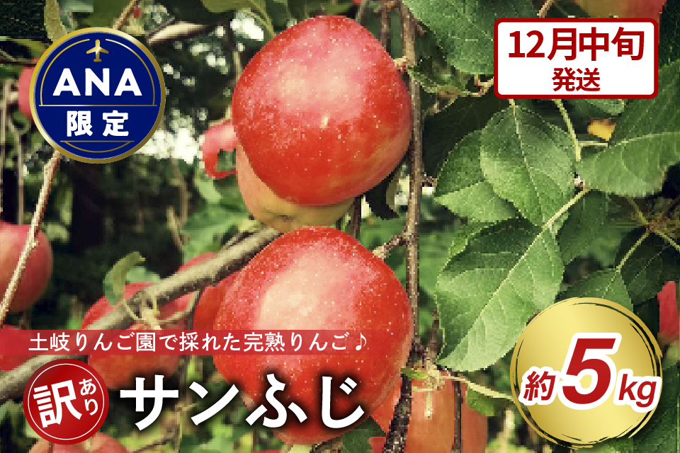 【ANA限定】【2025年12月中旬発送】 【訳あり】 りんご 約5kg サンふじ 〈樹上完熟〉 青森産