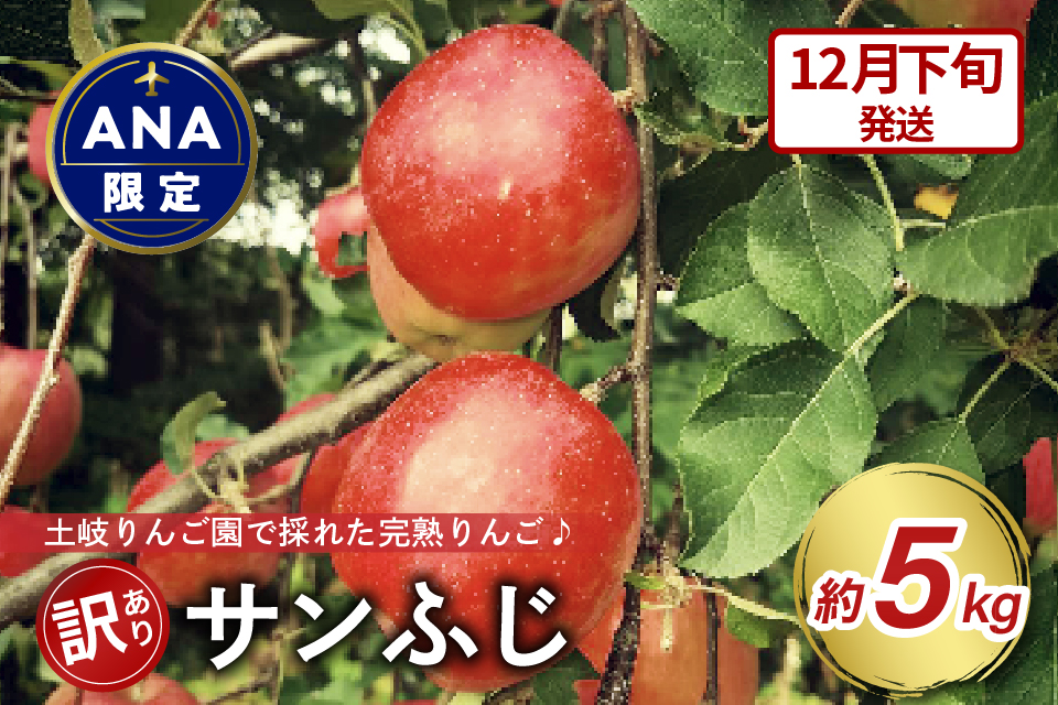 【ANA限定】【2025年12月下旬発送】 【訳あり】 りんご 約5kg サンふじ 〈樹上完熟〉 青森産