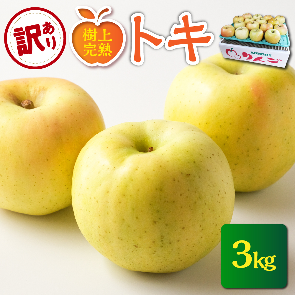 【2025年10月発送】【訳あり】 りんご 約3kg トキ〈樹上完熟〉 青森産