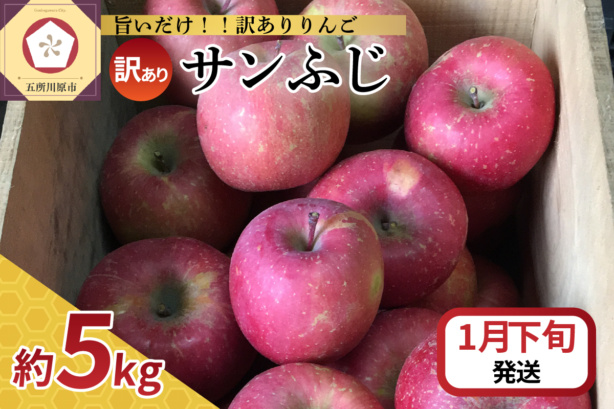 【2026年1月下旬発送】【訳あり】りんごサンふじ5kg青森