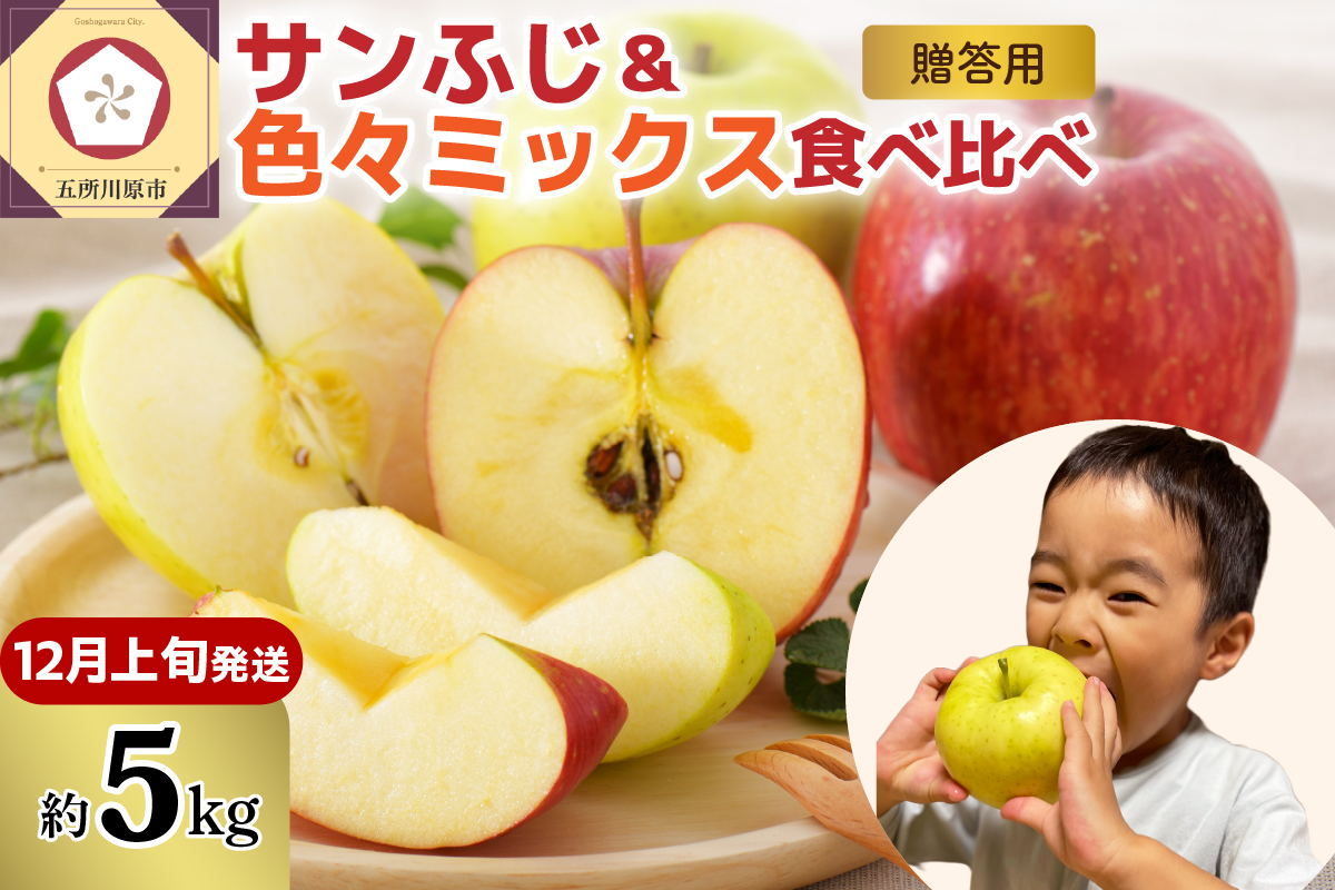 【2025年12月上旬発送】りんご青森産約5kg津軽から完熟サンふじ＆色々ミックス贈答用