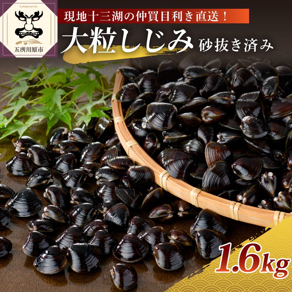 津軽十三湖産大粒しじみ1.6kg（冷凍・砂抜き済）