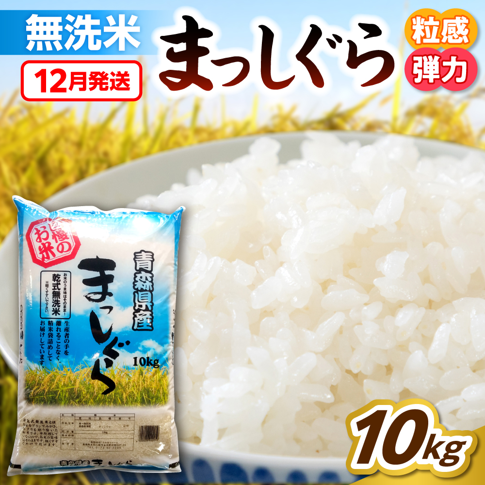 【12月発送】無洗米 10kg 青森県産 まっしぐら 令和7年産米(精米)