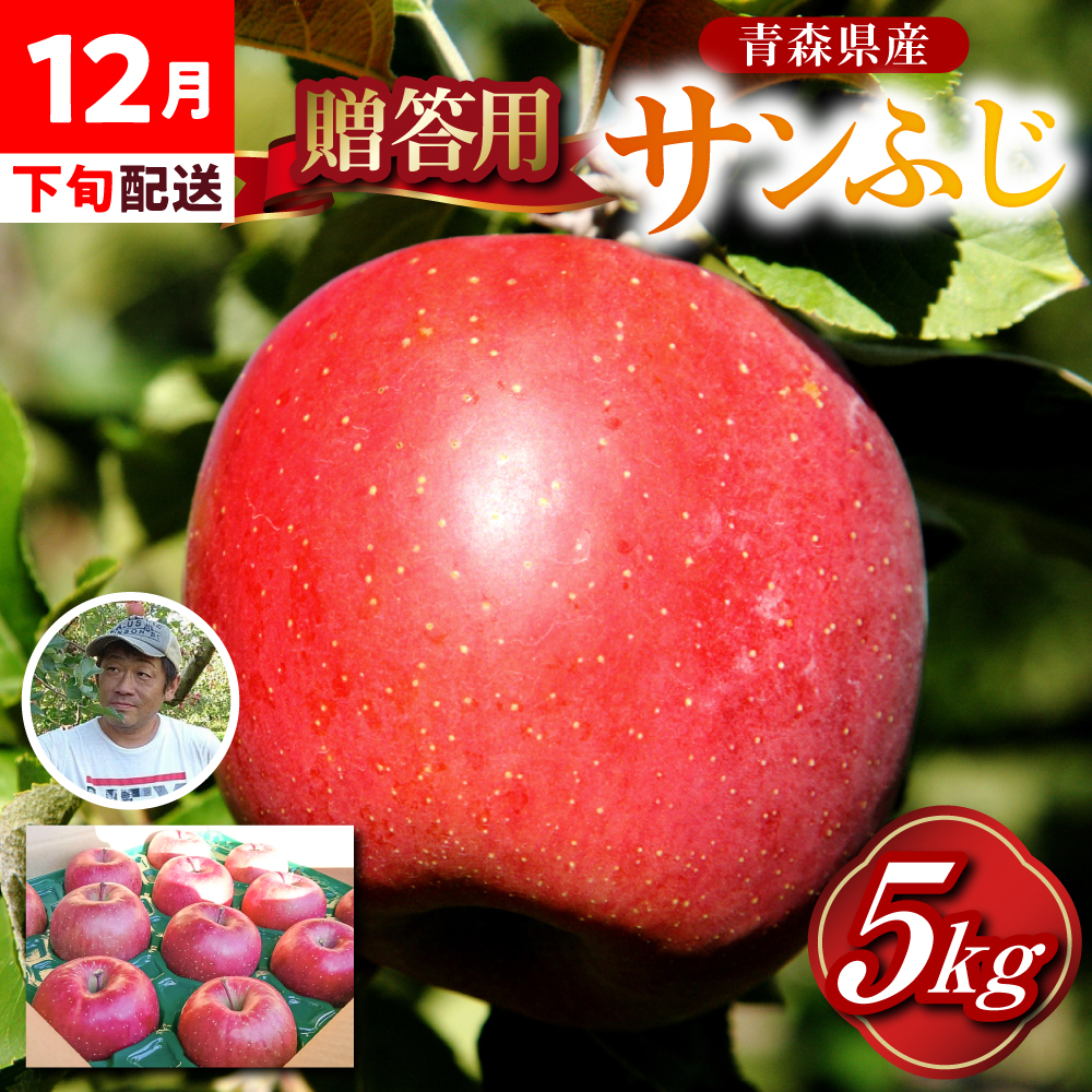 りんご　贈答用 【2025年12月下旬発送】 約 5kg サンふじ 五所川原 【 青森りんご サンふじりんご リンゴ 林檎 青森 贈答 】