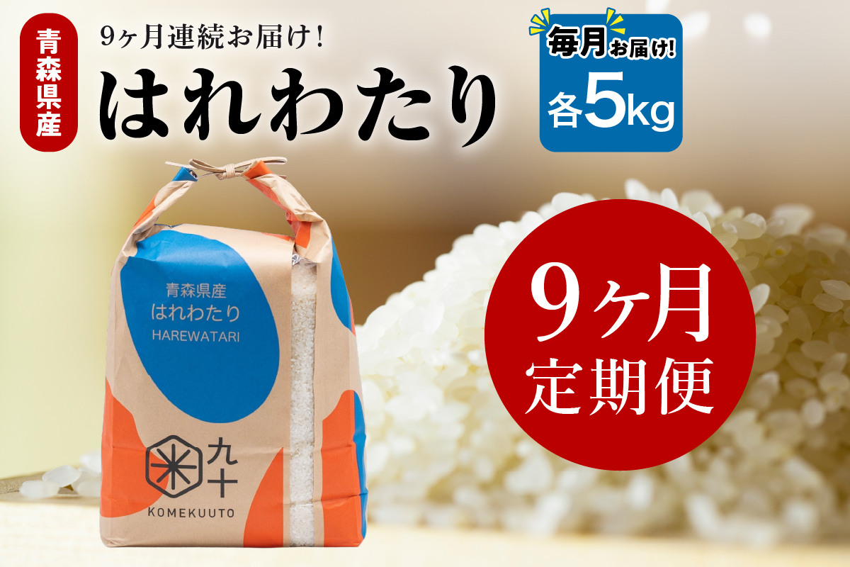 【定期便9ヶ月】 米 5kg はれわたり （精米） 令和7年産 青森県産 【 五所川原市 白米 お米 晴れ渡り 晴れわたり harewatari 5キロ 】