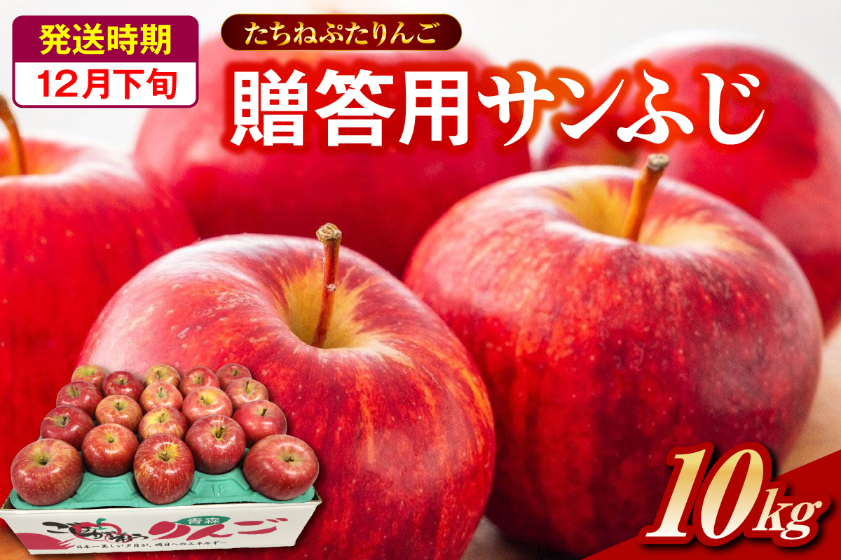 サンふじ 贈答規格 約10kg 【2025年12月下旬発送】「たちねぷたりんご」 青森県 五所川原市
