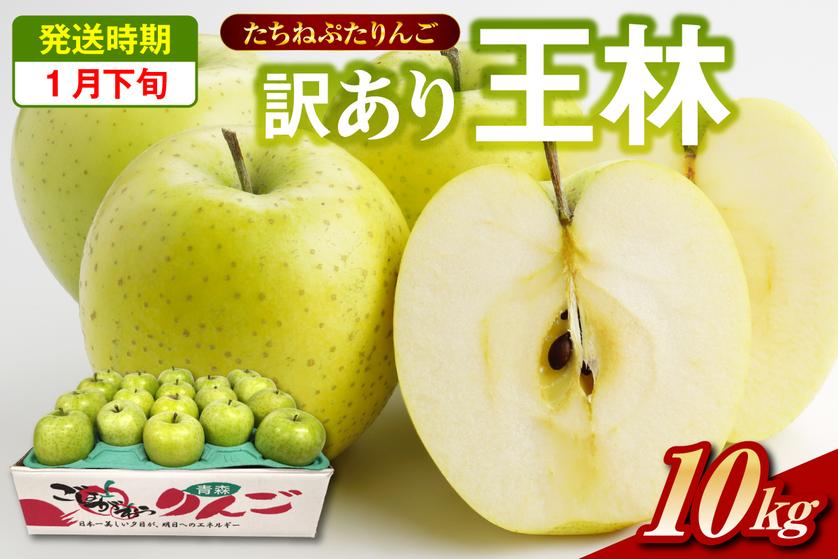 王林 りんご 訳あり 10kg【2026年1月下旬】 たちねぷたりんご 青森県 五所川原市 10キロ リンゴ おうりん