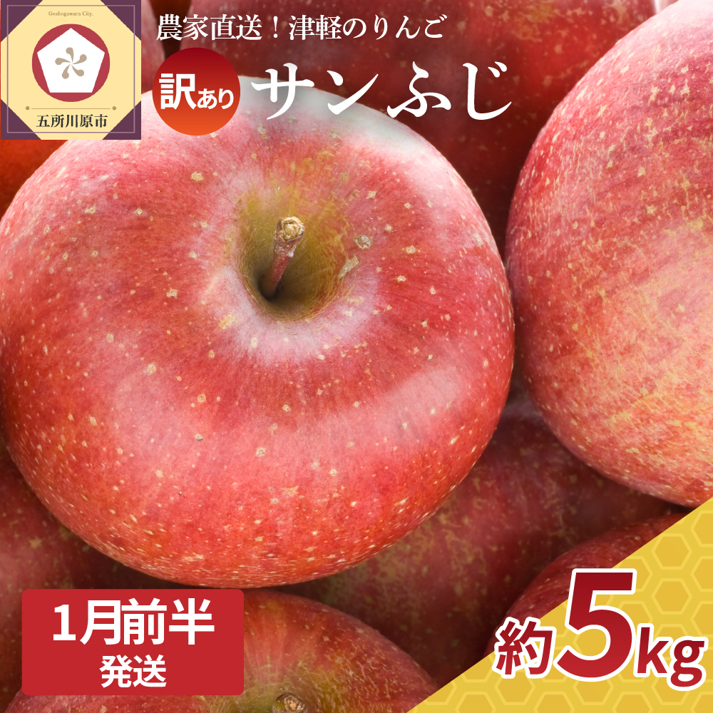 【2026年1月前半発送】 訳あり りんご サンふじ 約 5kg 青森 果物 【 訳アリ リンゴ 林檎 ふじ さんふじ 】
