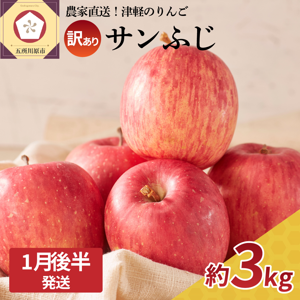 【2026年1月後半発送】 訳あり りんご サンふじ 約 3kg 青森 果物 【 訳アリ リンゴ 林檎 ふじ さんふじ 】