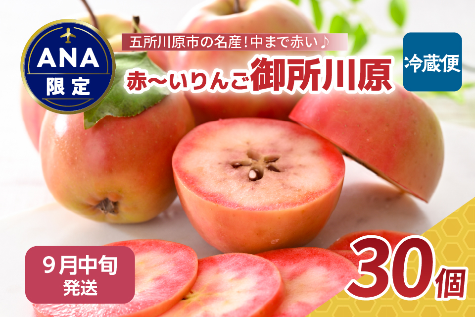 【ＡＮＡ限定】【 9月 中旬】 りんご レア品種 御所川原 約3.5kg（30個） 青森 五所川原【 リンゴ 林檎 果物 フルーツ 】