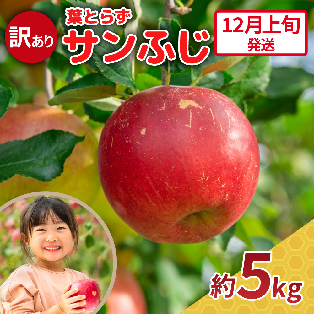 【2025年12月上旬発送】 訳あり りんご サンふじ 約5kg 青森 果物 【 訳アリ リンゴ 林檎 ふじ さんふじ 】